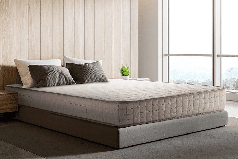 Exclusive Hybrid from Sleepy